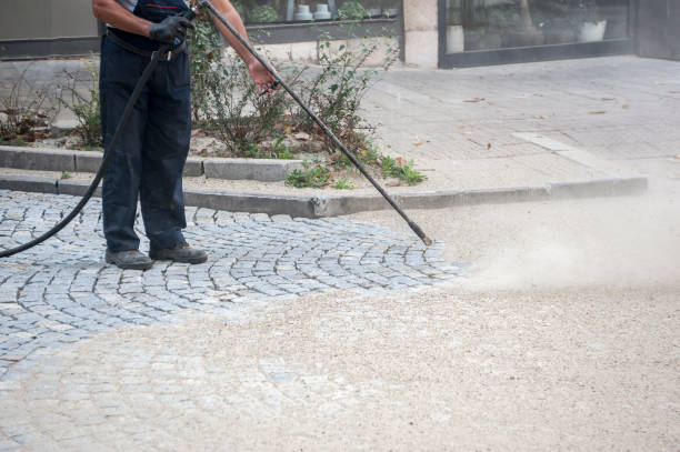 Best Fence Cleaning  in Rio Rancho Estates, NM